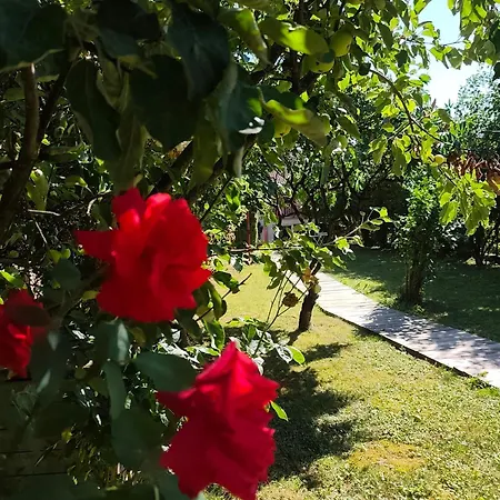 La Volette Tatil Evi Moulins-Saint-Hubert